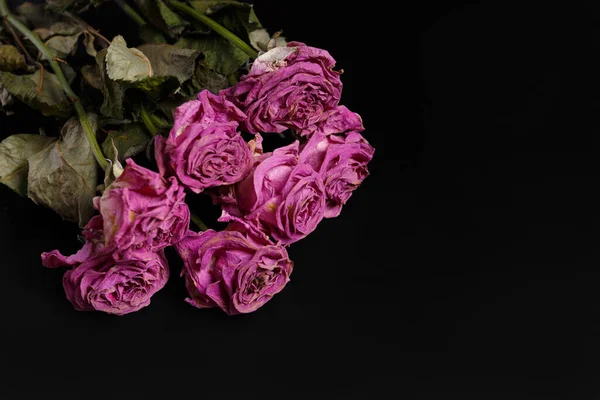 Rosas Rosas Secas Sobre Fondo Negro Rosas Muertas Cerca Espacio — Foto de Stock