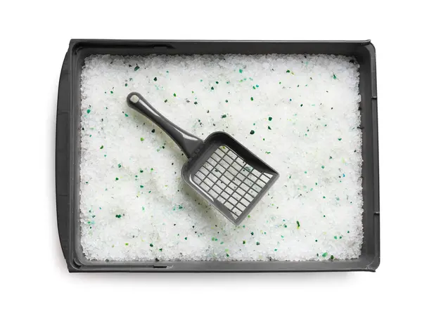 Cat Litter Box Gray Tray Filled Silica Gel Crystals Cleaning — Stock Photo, Image