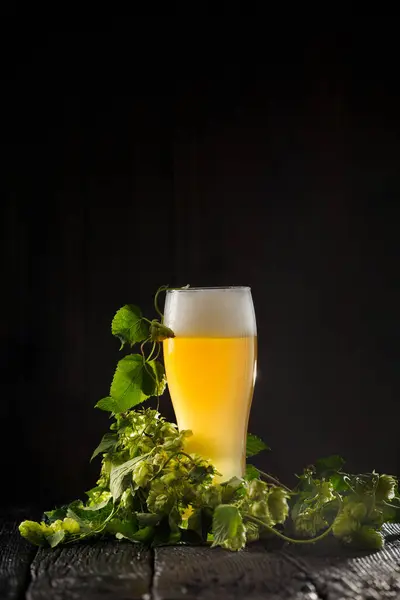 Sklenice Piva Pěnou Zelenými Chmelovými Větvemi Tmavém Dřevěném Pozadí Kopírovací Stock Snímky