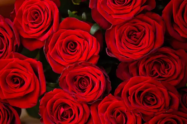 Énorme Bouquet Roses Rouges Comme Fond Carte Postale Vierge Pour Images De Stock Libres De Droits