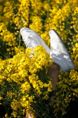 Beyaz spor ayakkabılı bir kızın bacakları kolza tohumu tarlasında yukarı bakıyor. Açık hava eğlencesi, özgürlük, iyi ruh hali. Kolza çiçeği içinde kadın bacakları.