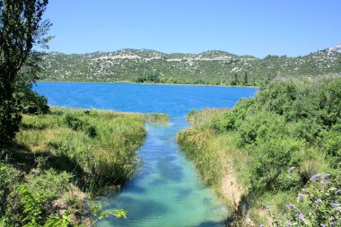 Hırvatistan 'daki sevimli Bacina göllerinin doğası
