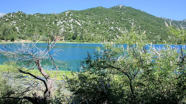 stock image nature of the lovely Bacina lakes in Croatia