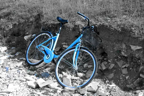 stock image  bike  in national park Brioni, Croatia