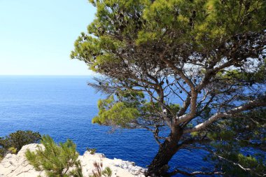 Ulusal park Telascica 'nın açık mavi denizi, Dugi Otok, Hırvatistan