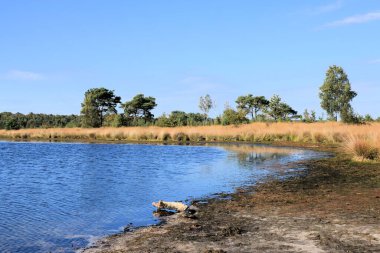 fen in the cross border park De Zoom, Belgium and the Netherlands clipart