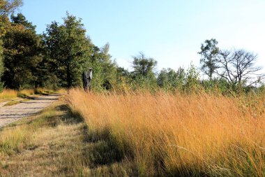 view in cross border park De Zoom, Belgium and the Netherlands clipart