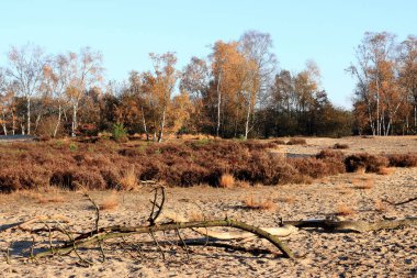 landscape in cross border park De Zoom, Belgium and the Netherlands clipart