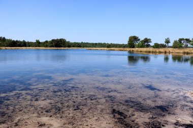 De Zoom, Belçika ve Hollanda sınır ötesi parkında gölet