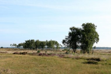 De Zoom, Belçika ve Hollanda sınır ötesi parkında doğa