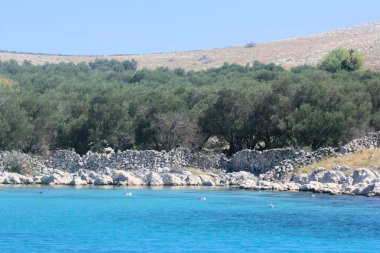 Hırvatistan 'ın Kornati kentindeki adalardan birine bakın