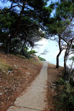 Hırvatistan 'ın Losinj adası Veli Losinj yakınlarındaki Vale Skura körfezi yakınlarındaki yol