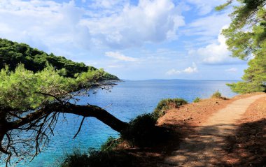 Hırvatistan 'ın Losinj adasının Veli Losinj yakınlarındaki Vale Skura koyu manzaralı