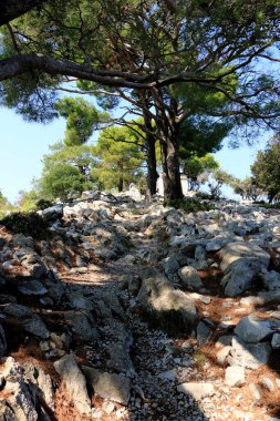 Hırvatistan 'ın Losinj adasının Veli Losinj kentindeki dağın tepesindeki manzara