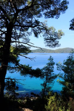Hırvatistan 'ın Mljet adasının milli parkının Türk suları