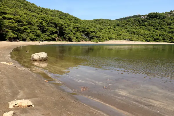 Hırvatistan 'ın Mljet kentindeki ünlü kumlu plajı