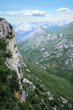 N.P. 'deki doğa. Paklenica 