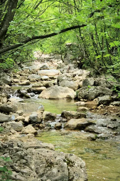 stock image mountain river in N.P. Paklenica 