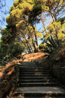 Eski kasabanın parkı Rab, ada Rab, Hırvatistan