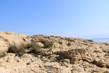 Lopar, ada Rab, Hırvatistan 'da kumtaşı oluşumu