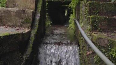 Tropik ormanlara düşen küçük su görüntüleri. Nehir taşından akan su. Görüntüler doğa görüntüleri ve yolculuk için uygun..