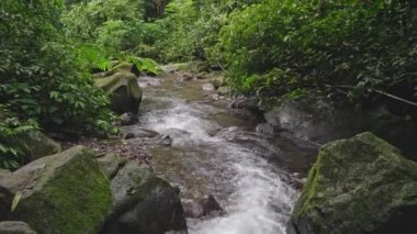 Footage of small water fall on tropical forest. Water flowing through river stone. The footage is suitable to use for nature footage, and travel destination footage.