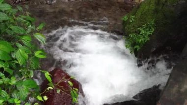 Tropik ormanlara düşen küçük su görüntüleri. Nehir taşından akan su. Görüntüler doğa görüntüleri ve yolculuk için uygun..