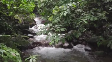 Footage of small water fall on tropical forest. Water flowing through river stone. The footage is suitable to use for nature footage, and travel destination footage.