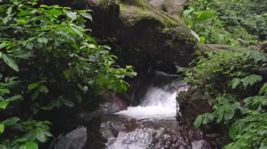 Footage of small water fall on tropical forest. Water flowing through river stone. The footage is suitable to use for nature footage, and travel destination footage.