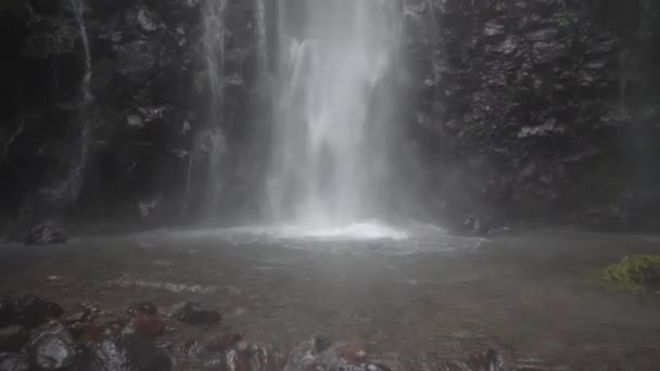 Footage Small Water Fall Tropical Forest Water Flowing River Stone — Vídeo de Stock