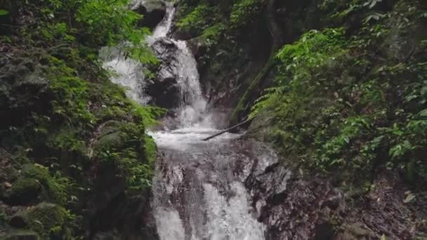 Footage Small Water Fall Tropical Forest Water Flowing River Stone — Stockvideo