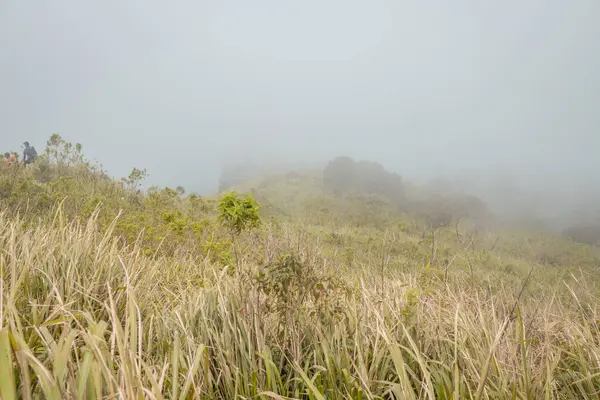 Шлях Вершини Гори Саваною Туманними Вібрами Фотографія Підходить Використання Пригодницьких — стокове фото