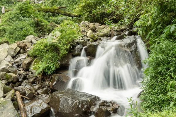 Krajina Jediné Vody Padá Tropický Les Fotografie Vhodná Pro Použití — Stock fotografie