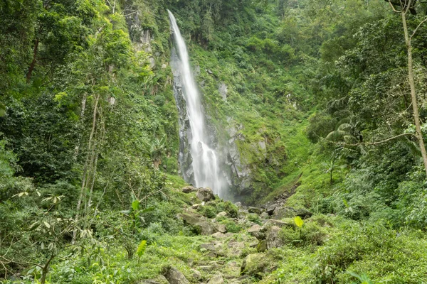 Pemandangan Air Tunggal Jatuh Hutan Tropis Foto Ini Cocok Digunakan — Stok Foto