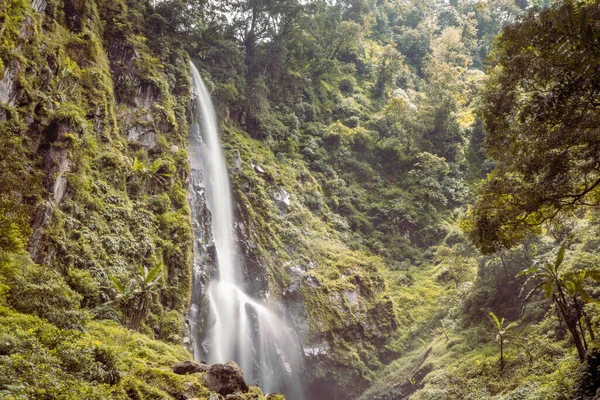 Paisagem Uma Única Queda Água Floresta Tropical Foto Adequada Para — Fotografia de Stock
