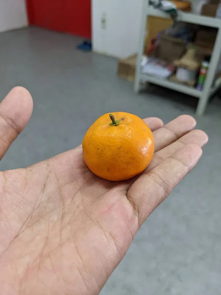 Çıplak Elle Küçük Bir Portakal Tutuşu Fotoğraf Meyve Arkaplanı Satıcı — Stok fotoğraf