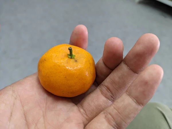 Lite Orange Grepp Den Bara Handen Bilden Lämplig Att Använda — Stockfoto