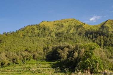 Sabah vakti güneş ışığı yaz titreşimleri aldığında manzara dağları. Fotoğraf macera içeriği medyası, doğa posteri ve orman geçmişi için kullanılabilir.