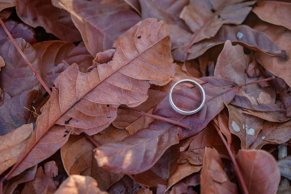 Wedding Ring Photo Shoot Concept Sun Light Dry Leaf Background — Stock Photo, Image