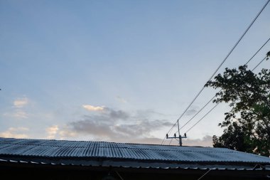 Mavi gökyüzü arka planlı ağaç dalı. Fotoğraf doğa arkaplanı ve içerik ortamı için kullanılabilir.