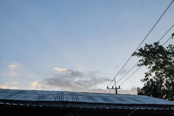 Mavi gökyüzü arka planlı ağaç dalı. Fotoğraf doğa arkaplanı ve içerik ortamı için kullanılabilir.
