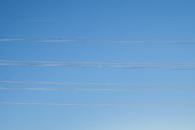 Arkasında mavi gökyüzü olan elektrik kablosu. Fotoğraf elektrik iletim arkaplanı ve içerik ortamı için kullanılabilir.