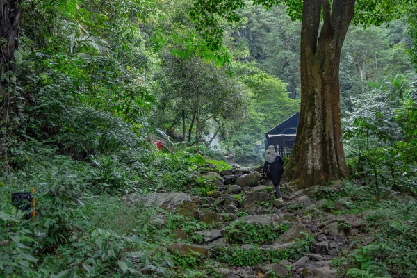 Yağmur Mevsiminde Dağın Zirvesine Ulaşan Tropikal Ormandaki Yol Fotoğraf Macera — Stok fotoğraf