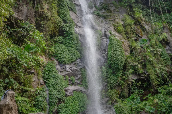 Kis Víz Esik Trópusi Erdőben Amikor Eső Szezonban Fotó Alkalmas — Stock Fotó