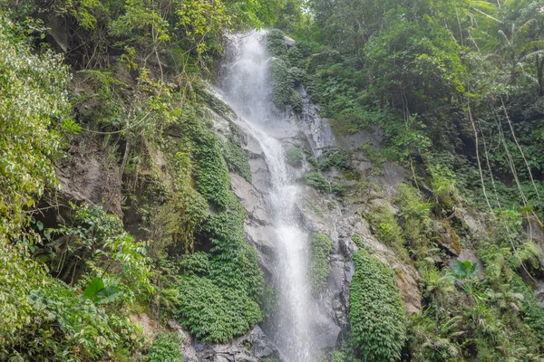 Pequenas Águas Caem Floresta Tropical Quando Estação Chuvosa Foto Adequada — Fotografia de Stock