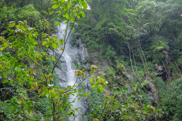 Pequenas Águas Caem Floresta Tropical Quando Estação Chuvosa Foto Adequada — Fotografia de Stock