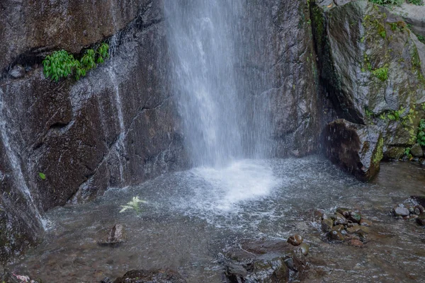 Pequeña Caída Agua Bosque Tropical Cuando Temporada Lluvias Foto Adecuada — Foto de Stock
