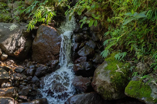 Malá Voda Padá Tropický Les Během Období Dešťů Fotografie Vhodná — Stock fotografie