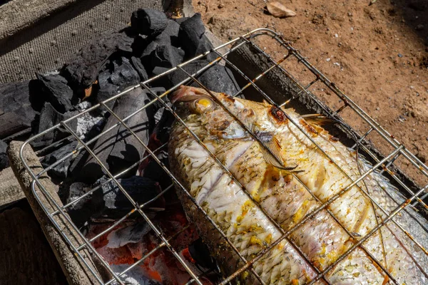 Ryby Grilovaly Nad Dřevěným Uhlím Při Letním Večírku Fotografie Vhodná — Stock fotografie