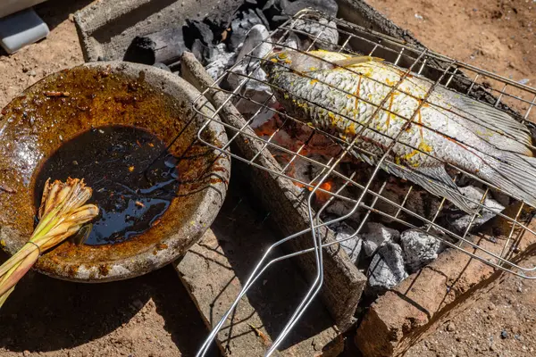 Yaz Partisinde Kömür Yangınında Balık Izgara Yapmıştı Fotoğraf Izgara Içerik Stok Resim
